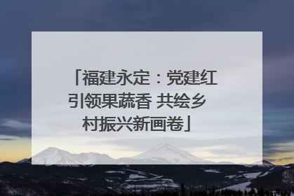 福建永定：党建红引领果蔬香 共绘乡村振兴新画卷