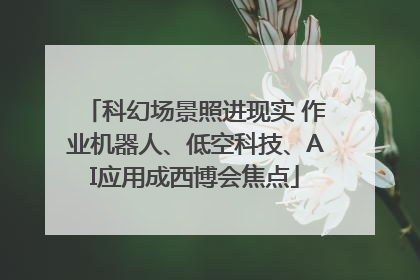 科幻场景照进现实 作业机器人、低空科技、AI应用成西博会焦点
