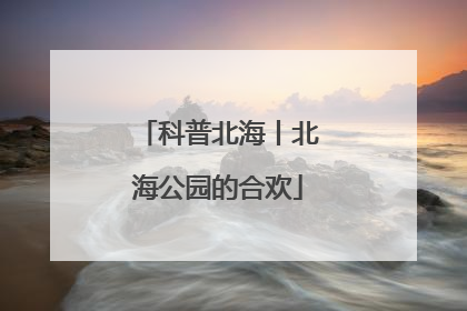 科普北海丨北海公园的合欢