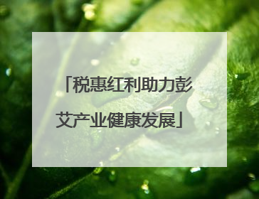 税惠红利助力彭艾产业健康发展