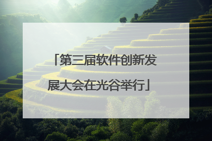 第三届软件创新发展大会在光谷举行