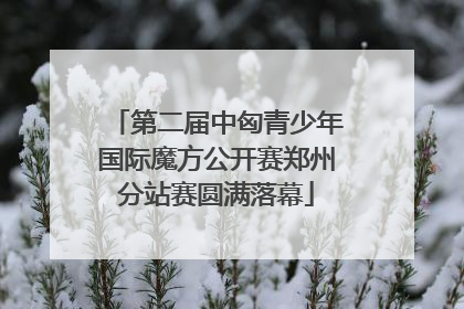 第二届中匈青少年国际魔方公开赛郑州分站赛圆满落幕