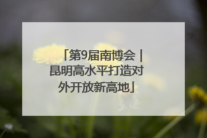 第9届南博会｜昆明高水平打造对外开放新高地