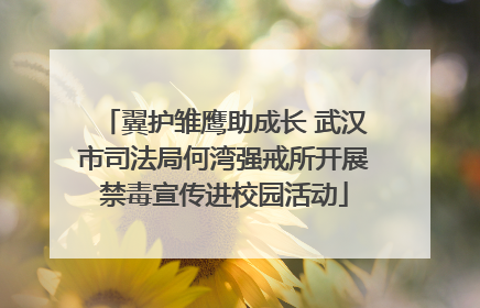翼护雏鹰助成长 武汉市司法局何湾强戒所开展禁毒宣传进校园活动