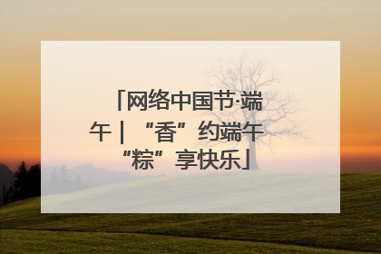 网络中国节·端午｜“香”约端午 “粽”享快乐