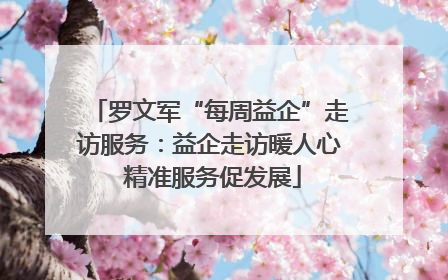 罗文军“每周益企”走访服务：益企走访暖人心 精准服务促发展