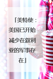 美特使：美国已开始减少在叙利亚的军事存在