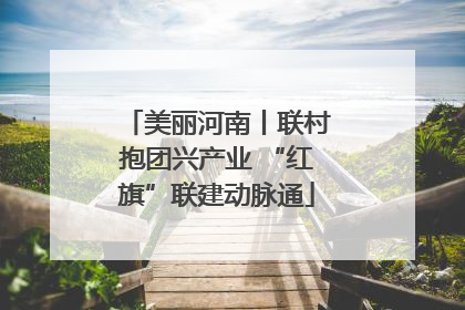 美丽河南丨联村抱团兴产业 “红旗”联建动脉通