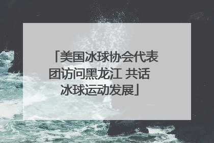 美国冰球协会代表团访问黑龙江 共话冰球运动发展