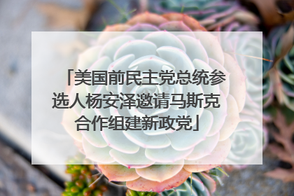 美国前民主党总统参选人杨安泽邀请马斯克合作组建新政党