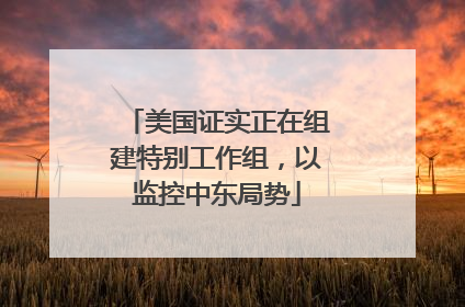 美国证实正在组建特别工作组，以监控中东局势