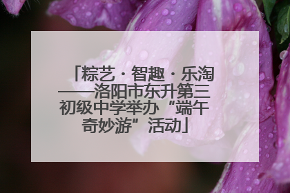 粽艺・智趣・乐淘——洛阳市东升第三初级中学举办“端午奇妙游”活动