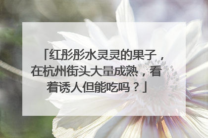 红彤彤水灵灵的果子，在杭州街头大量成熟，看着诱人但能吃吗？