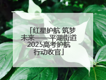 红星护航 筑梦未来——平湖街道2025高考护航行动收官