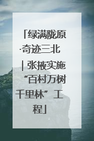 绿满陇原·奇迹三北｜张掖实施“百村万树千里林”工程