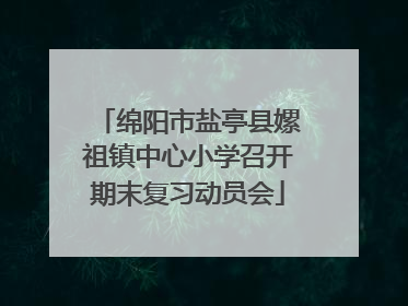 绵阳市盐亭县嫘祖镇中心小学召开期末复习动员会