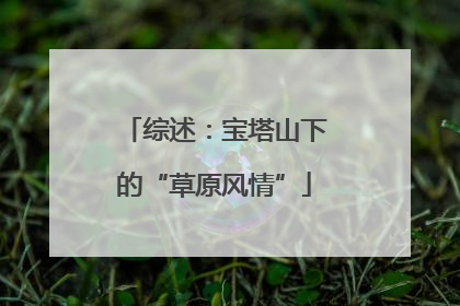 综述：宝塔山下的“草原风情”