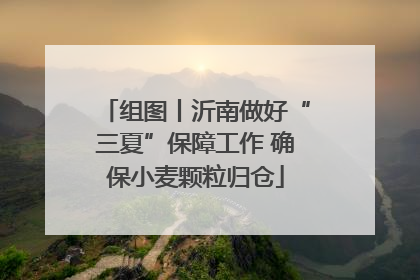 组图丨沂南做好“三夏”保障工作 确保小麦颗粒归仓