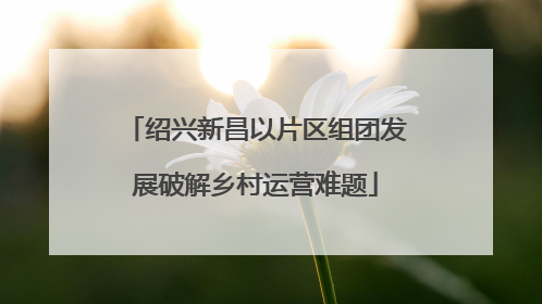 绍兴新昌以片区组团发展破解乡村运营难题