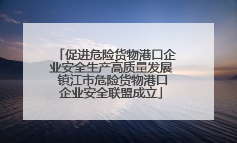 促进危险货物港口企业安全生产高质量发展 镇江市危险货物港口企业安全联盟成立