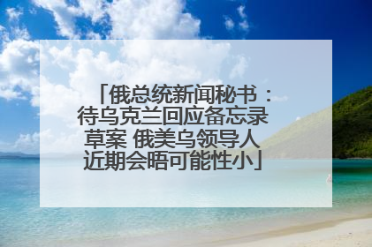 俄总统新闻秘书：待乌克兰回应备忘录草案 俄美乌领导人近期会晤可能性小