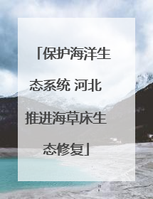 保护海洋生态系统 河北推进海草床生态修复