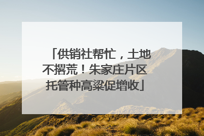 供销社帮忙，土地不撂荒！朱家庄片区托管种高粱促增收