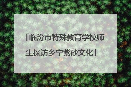 临汾市特殊教育学校师生探访乡宁紫砂文化