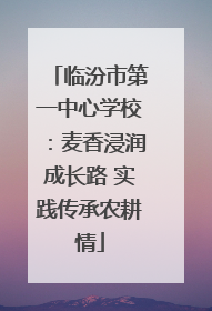 临汾市第一中心学校：麦香浸润成长路 实践传承农耕情