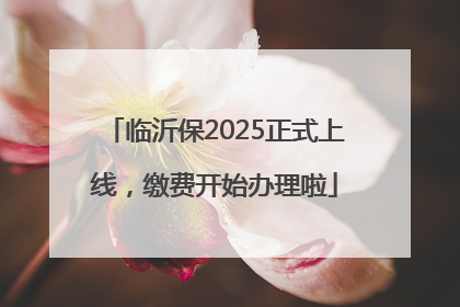 临沂保2025正式上线，缴费开始办理啦