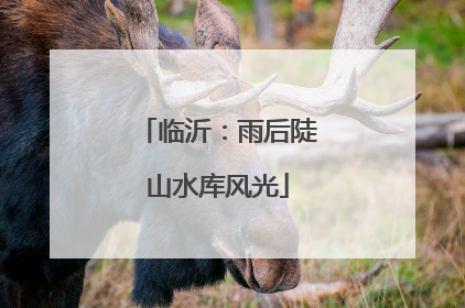 临沂：雨后陡山水库风光
