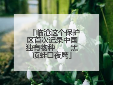 临沧这个保护区首次记录中国独有物种——黑顶蛙口夜鹰
