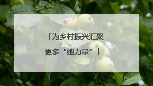 为乡村振兴汇聚更多“她力量”