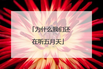 为什么我们还在听五月天