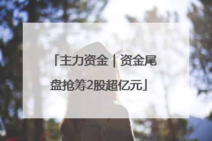 主力资金｜资金尾盘抢筹2股超亿元