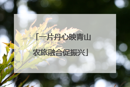 一片丹心映青山 农旅融合促振兴