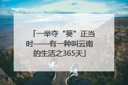 一举夺“葵”正当时——有一种叫云南的生活之365天