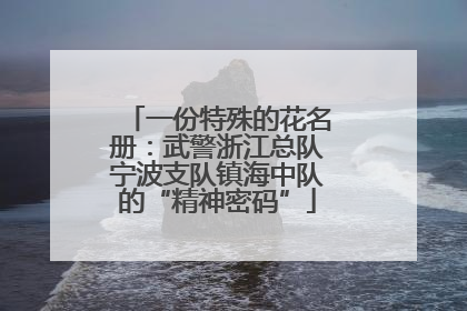 一份特殊的花名册：武警浙江总队宁波支队镇海中队的“精神密码”