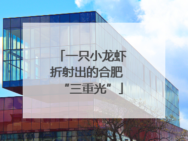 一只小龙虾折射出的合肥“三重光”