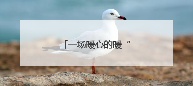 一场暖心的暖“新”服务行动