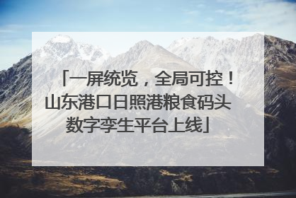 一屏统览，全局可控！山东港口日照港粮食码头数字孪生平台上线