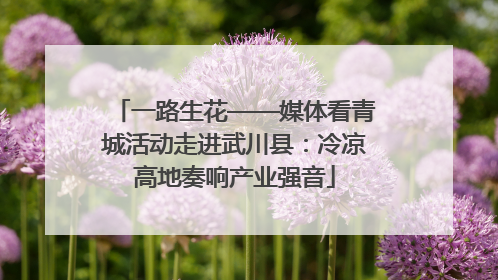 一路生花——媒体看青城活动走进武川县：冷凉高地奏响产业强音