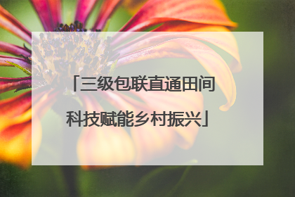三级包联直通田间 科技赋能乡村振兴