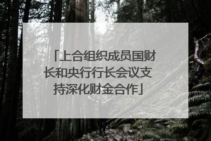 上合组织成员国财长和央行行长会议支持深化财金合作
