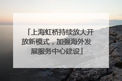 上海虹桥持续放大开放新模式，加强海外发展服务中心建设