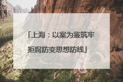 上海：以案为鉴筑牢拒腐防变思想防线