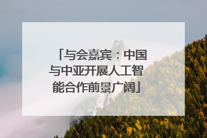 与会嘉宾：中国与中亚开展人工智能合作前景广阔