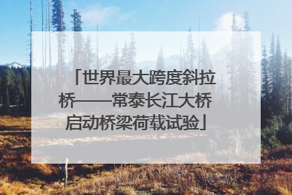 世界最大跨度斜拉桥——常泰长江大桥启动桥梁荷载试验