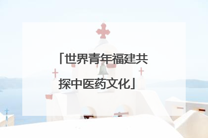 世界青年福建共探中医药文化