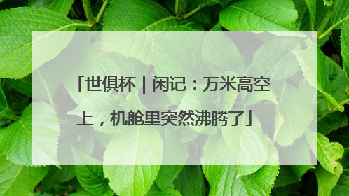 世俱杯｜闲记：万米高空上，机舱里突然沸腾了